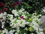 CA3C01000001.jpg